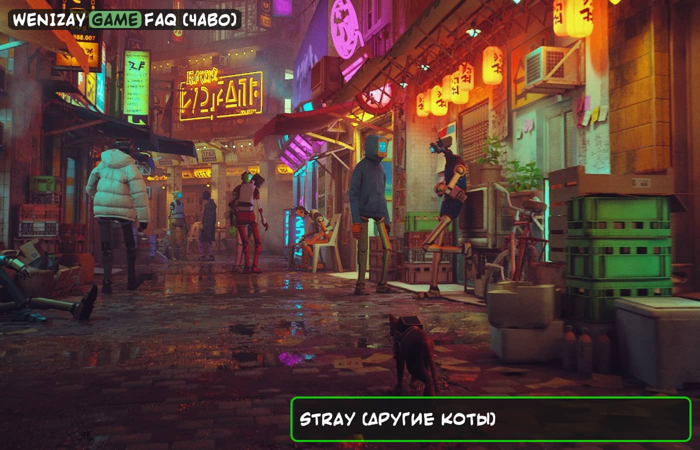 Stray (другие коты) - они есть в игре?