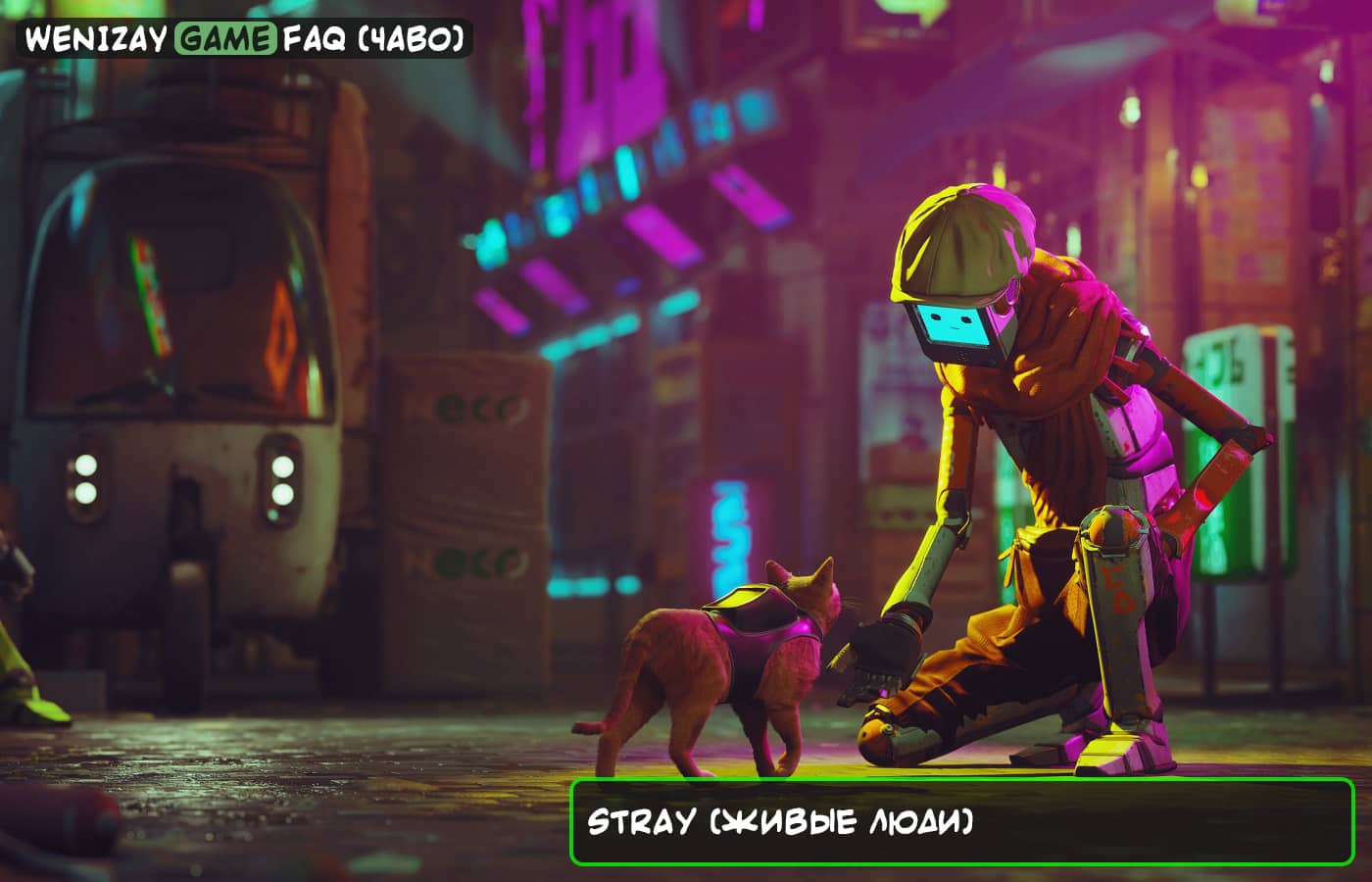 Stray (живые люди) - можно ли их встретить в игре?