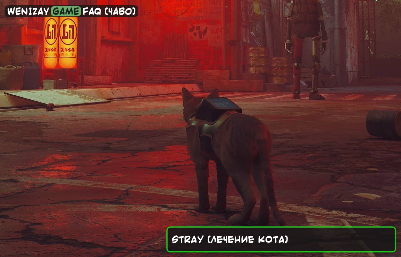 Stray (лечение кота) - как восстановить утраченное здоровье?