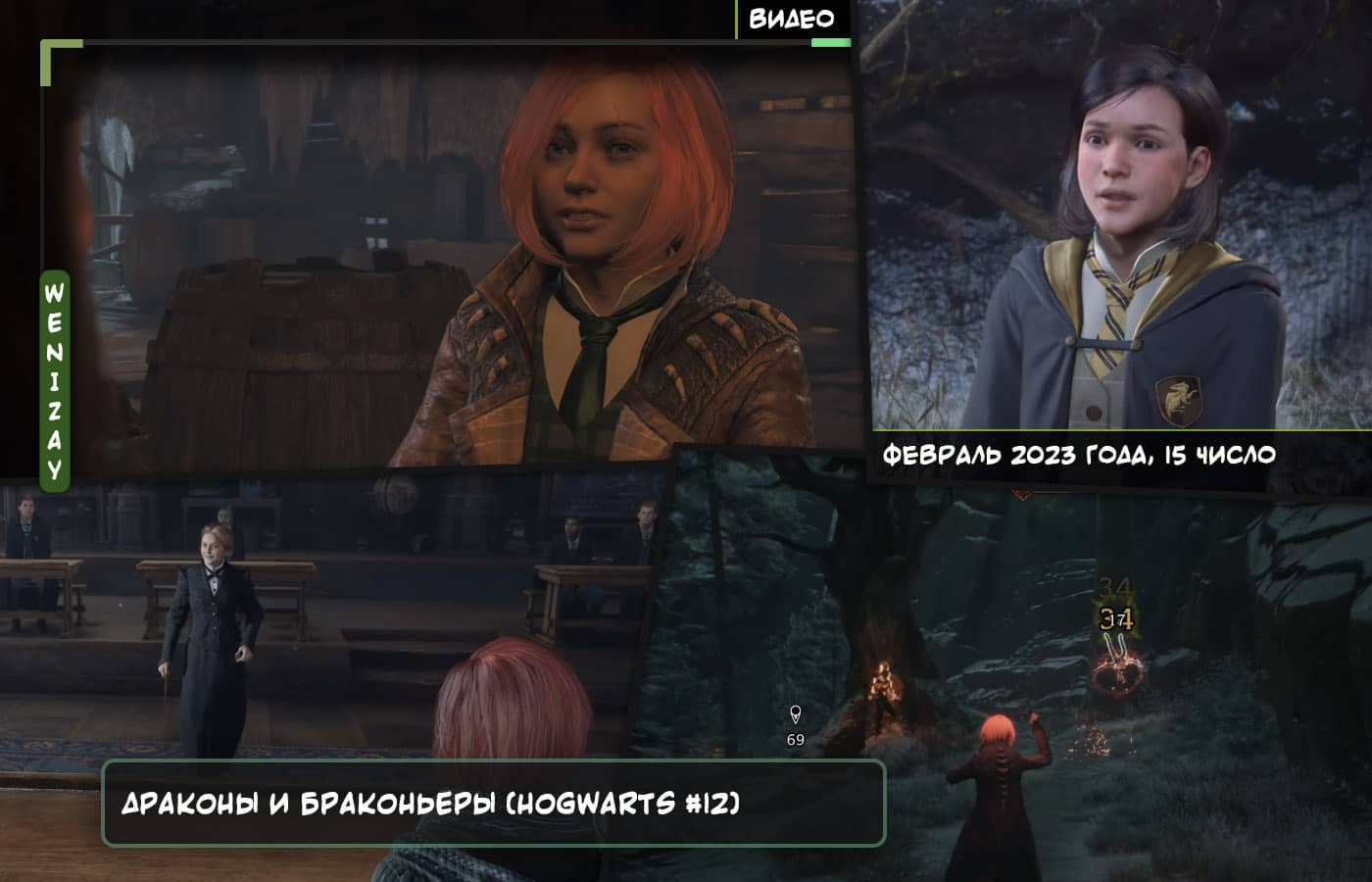 TheBrainDit играет в Hogwarts Legacy (часть 12) - смотреть видео