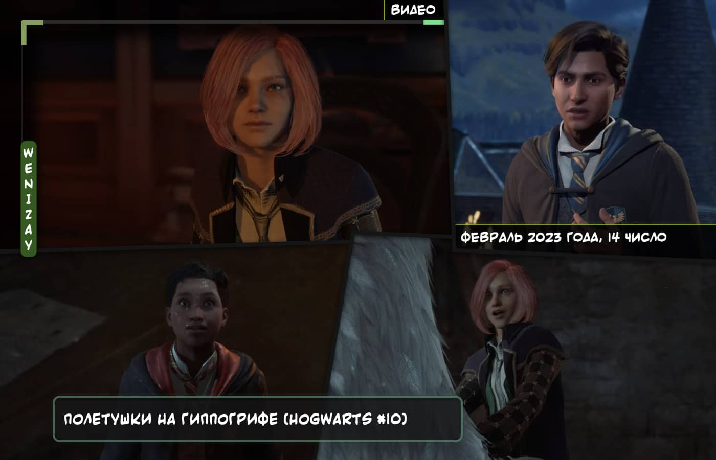 TheBrainDit играет в Hogwarts Legacy (часть 10) - смотреть видео