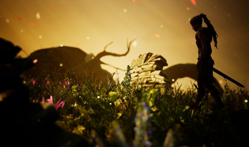 В игре Hellblade: Senua’s Sacrifice появится фоторежим