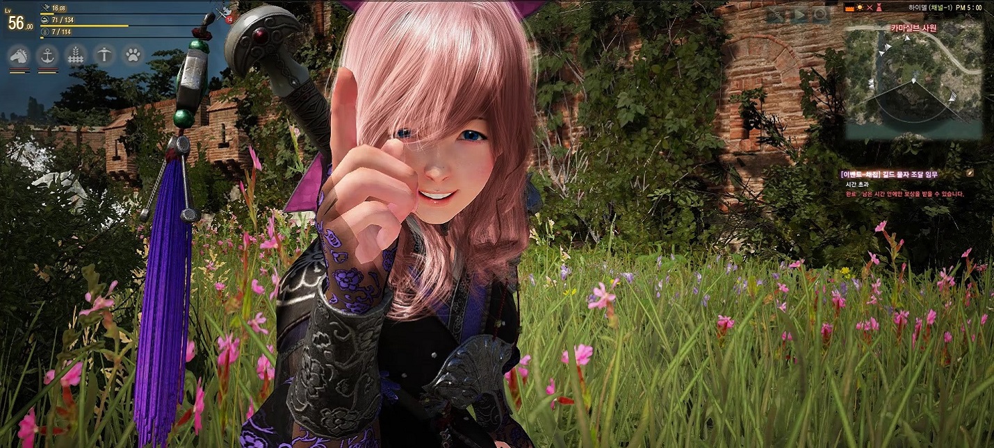 Black Desert Online выйдет на Xbox One